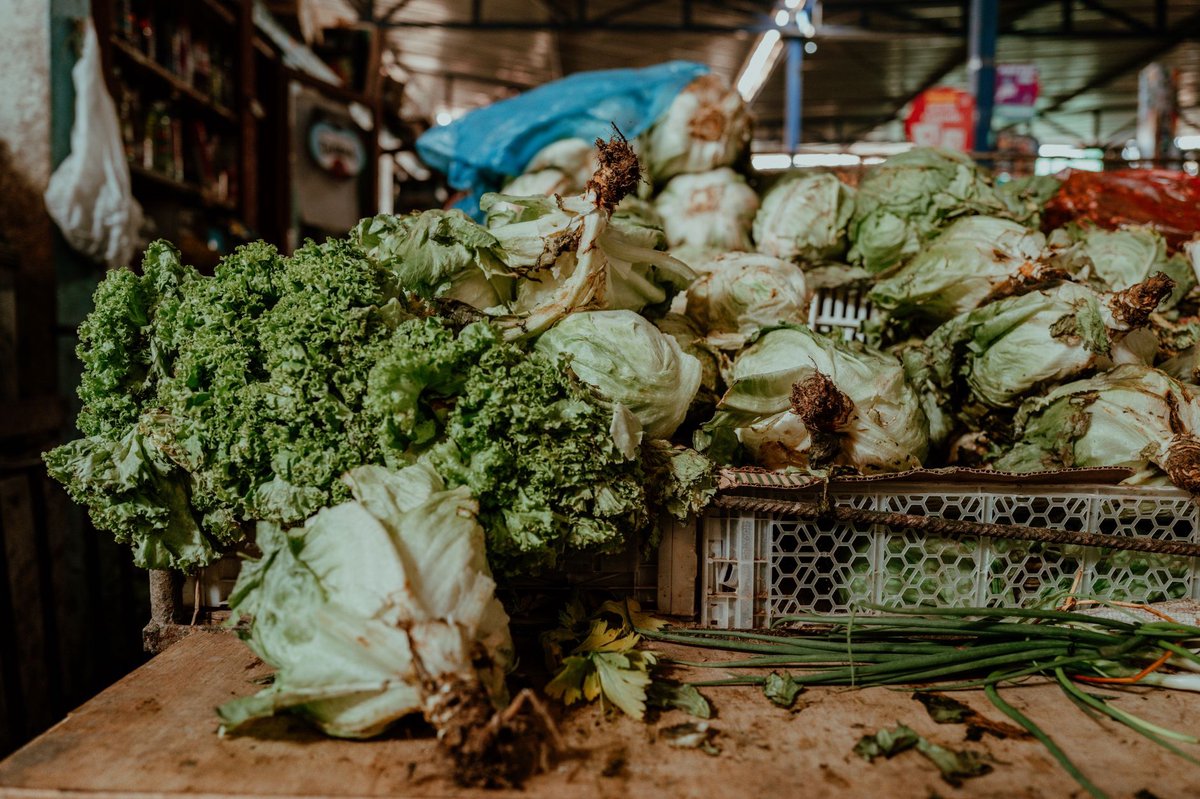 Cuando la cadena alimentaria se convierte en laboratorio: la innovación que genera margen mientras reduce desperdicio